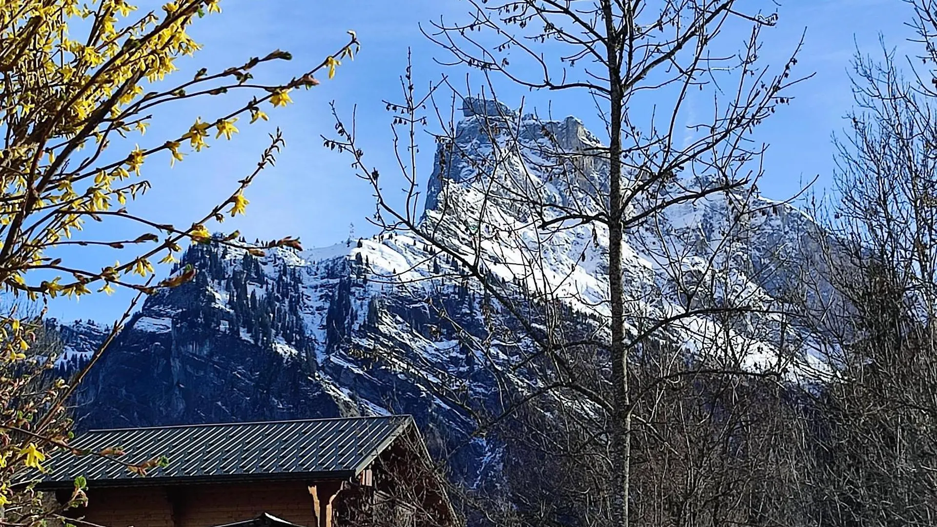 Le Refuge Des Trolls Apartment Sixt-Fer-a-Cheval